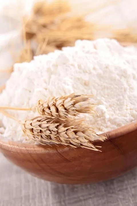 小麦和面粉